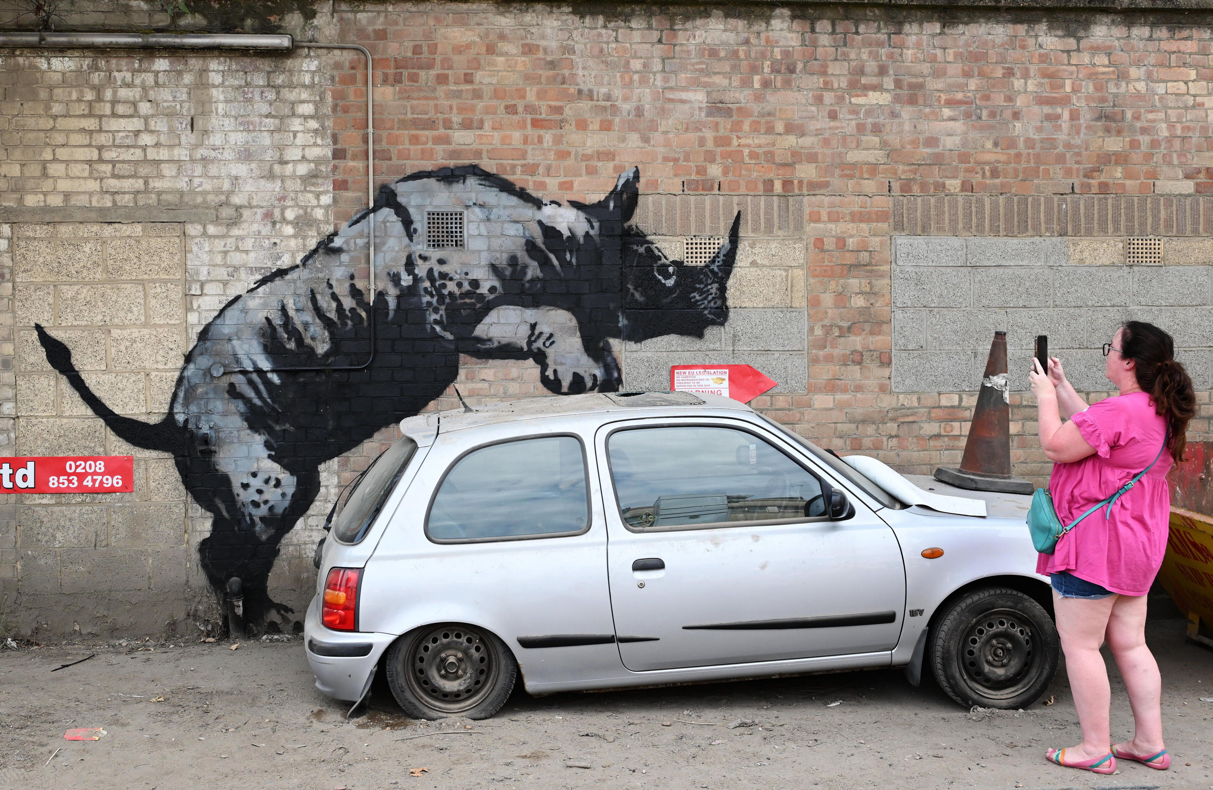 Errinozero bat, auto baten gainean. ANDY RAIN / EFE