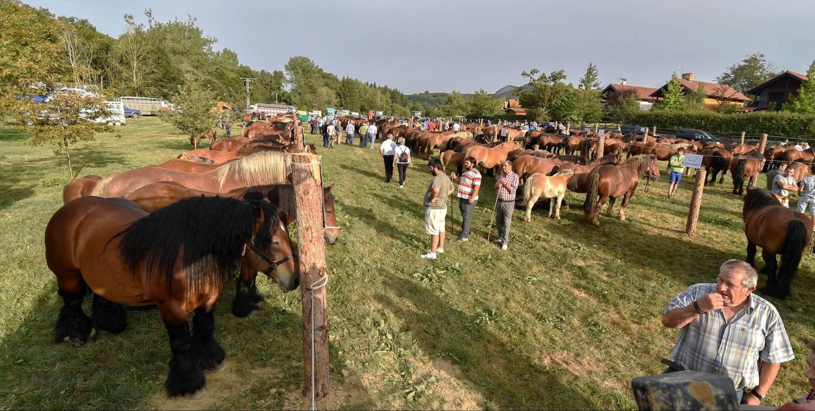 2016ko Nekazari Eguna, Lekunberrin. PLAZAOLA PARTZUERGO TURISTIKOA