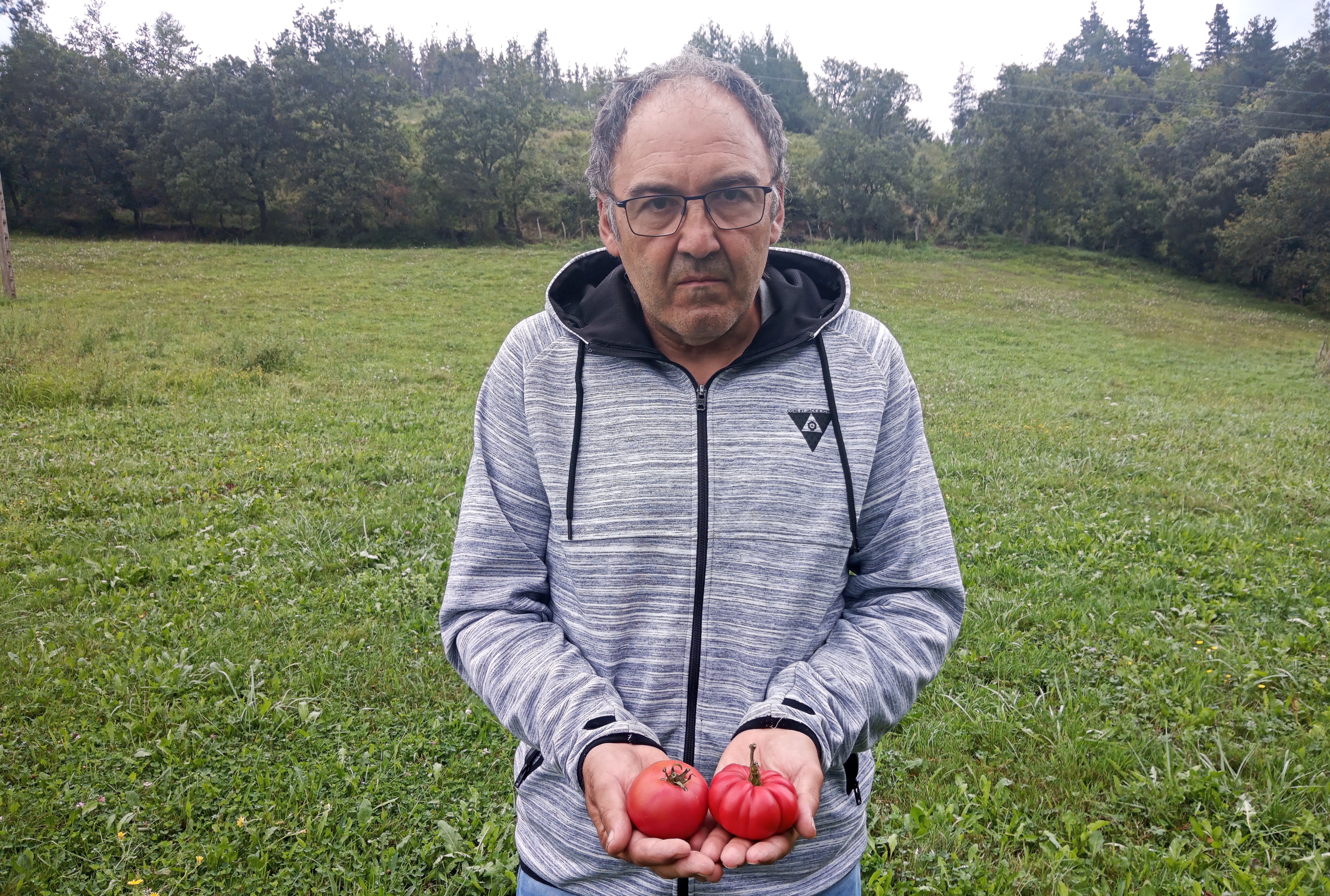 Agirre, berak ekoiztutako tomateekin. BERRIA