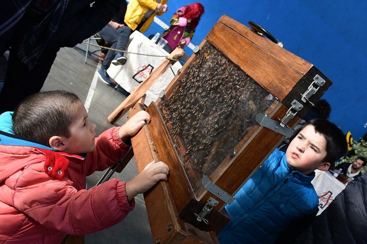 Erle Eguneko azoka nagusia Usurbilgo frontoian egingo da. 30 ekoizletik gora batuko dira bertan. BERRIA.