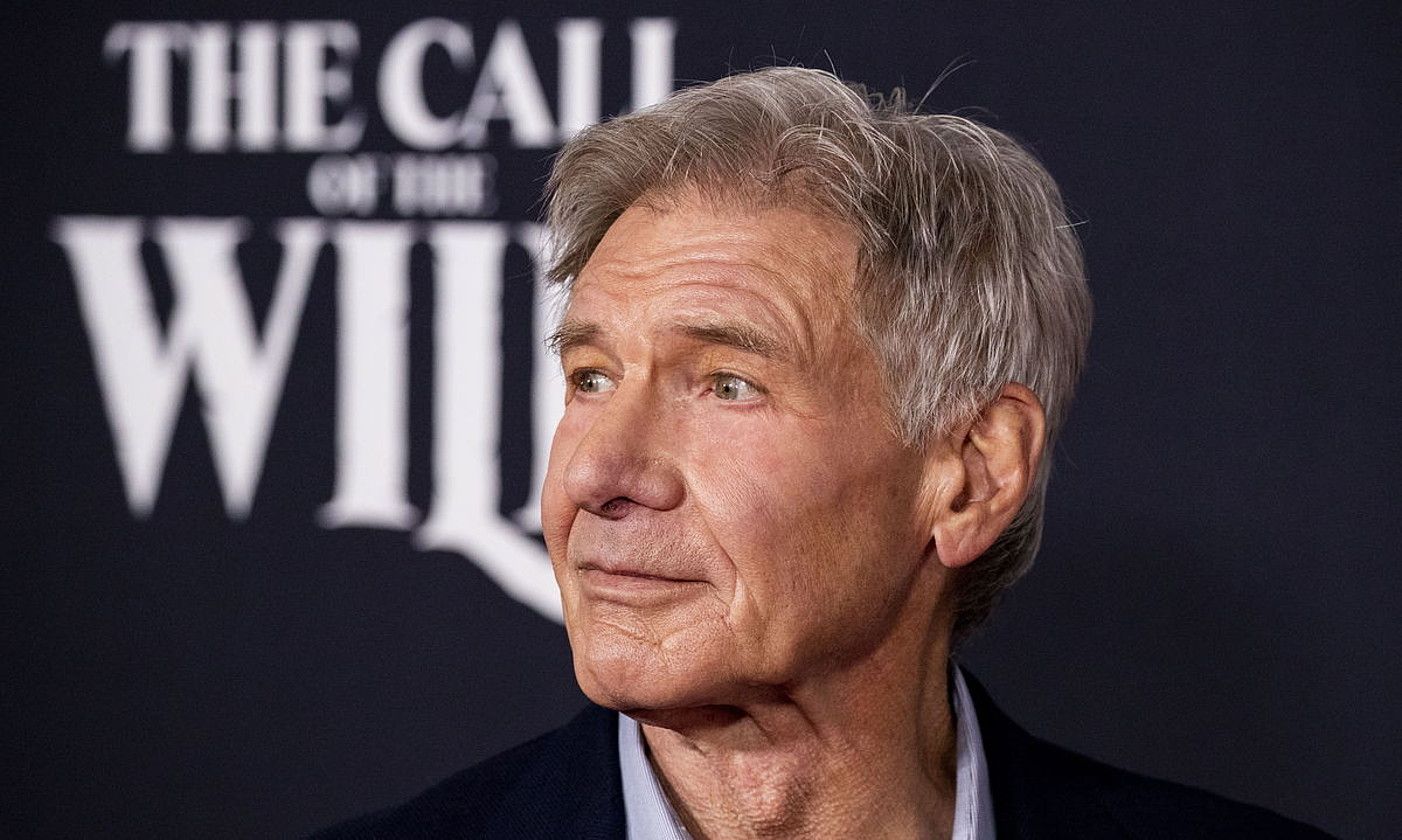 Harrison Ford aktorea, atzo, The Call of the Wild filmaren estreinaldi egunean. ETIENNE LAURENT / EFE. Harrison Ford aktorea, atzo, The Call of the Wild filmaren estreinaldi egunean. ETIENNE LAURENT / EFE.
