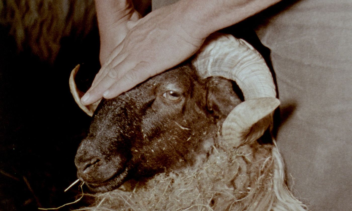 Gorria filmaren fotograma bat. Pelikulan, artzainen eskuek toki handia hartzen dute. BERRIA.