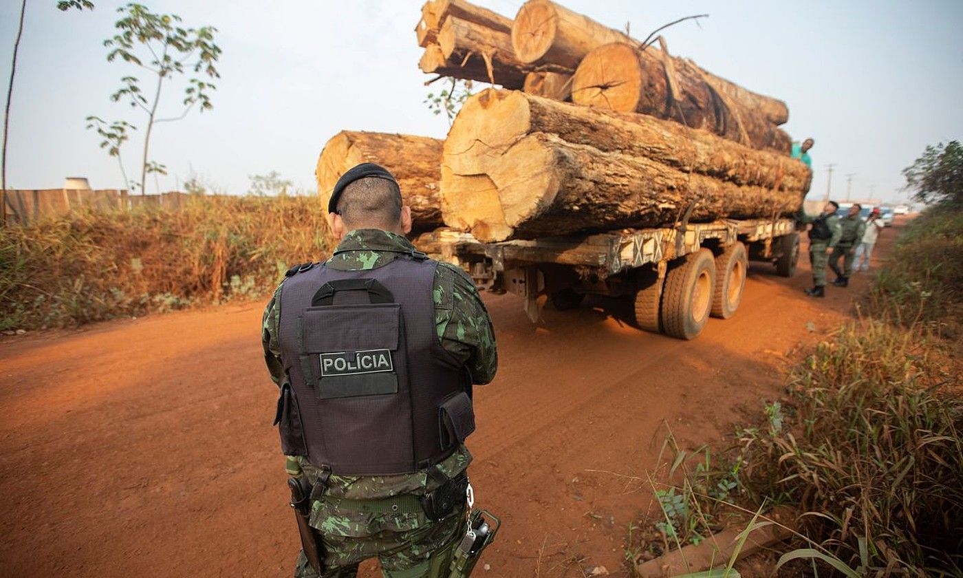 Polizia bat, egurra daraman kamioi bat zaintzen, Rondonia eskualdean, Brasilen. JOEDSON ALVES / EFE.