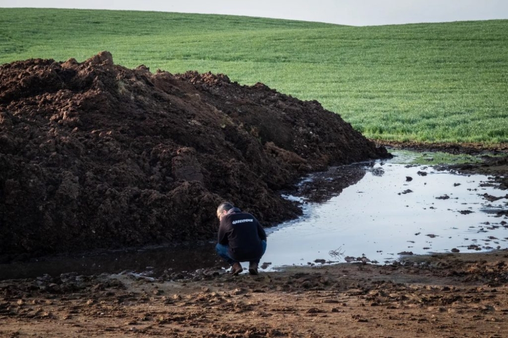 Greenpeace-eko kide bat, Valle de Odietaren makroetxealdearen inguruko urak aztertzen. BERRIA Greenpeace-eko kide bat, Valle de Odietaren makroetxealdearen inguruko urak aztertzen. BERRIA