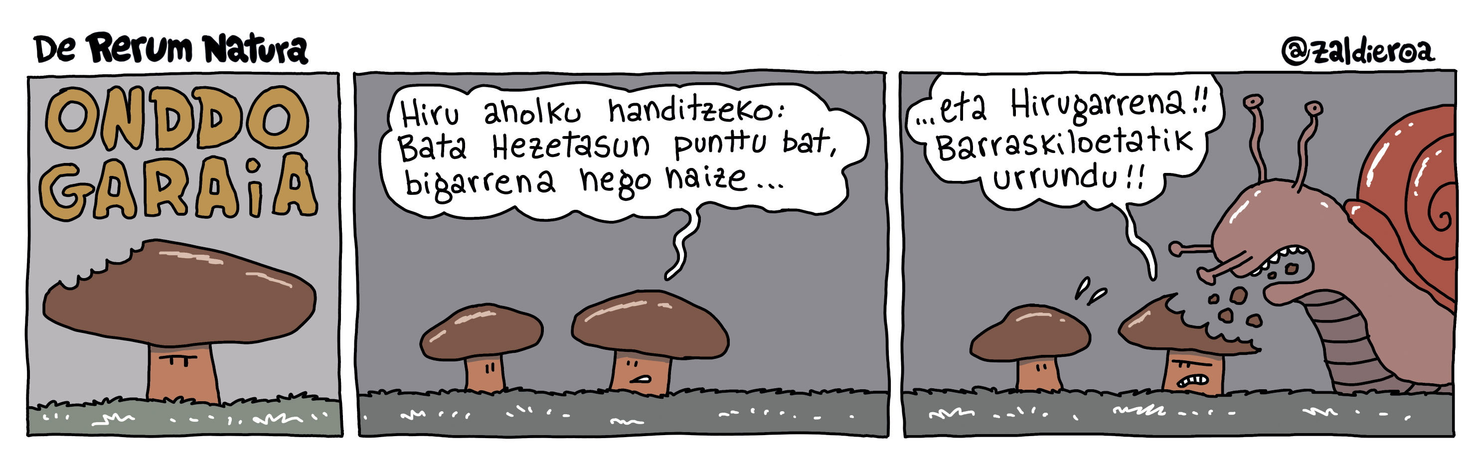 2024-10-03 Zaldieroa