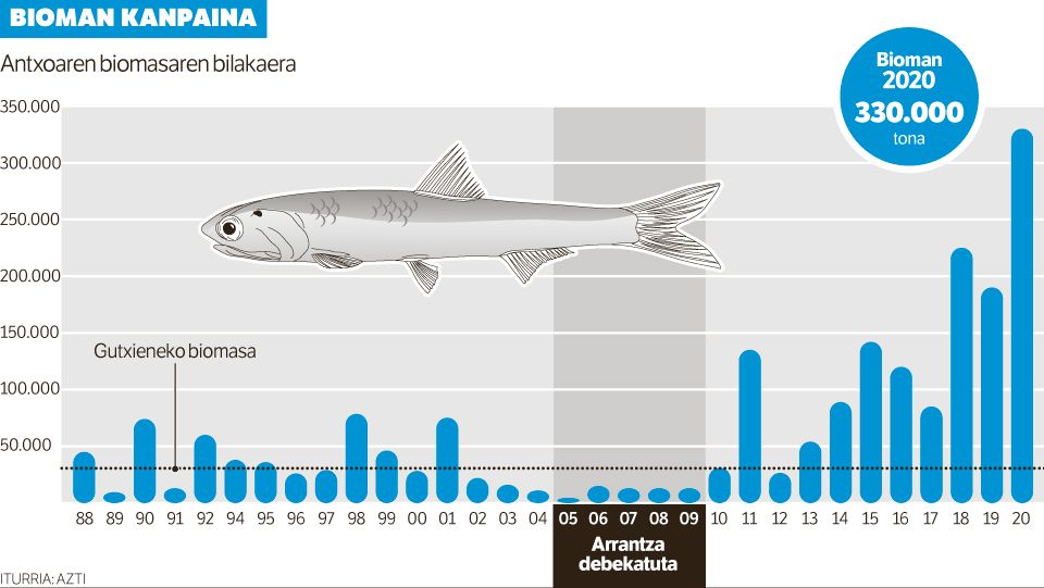 Inoizko antxoa populazio handiena erregistratu dute Bizkaiko golkoan.