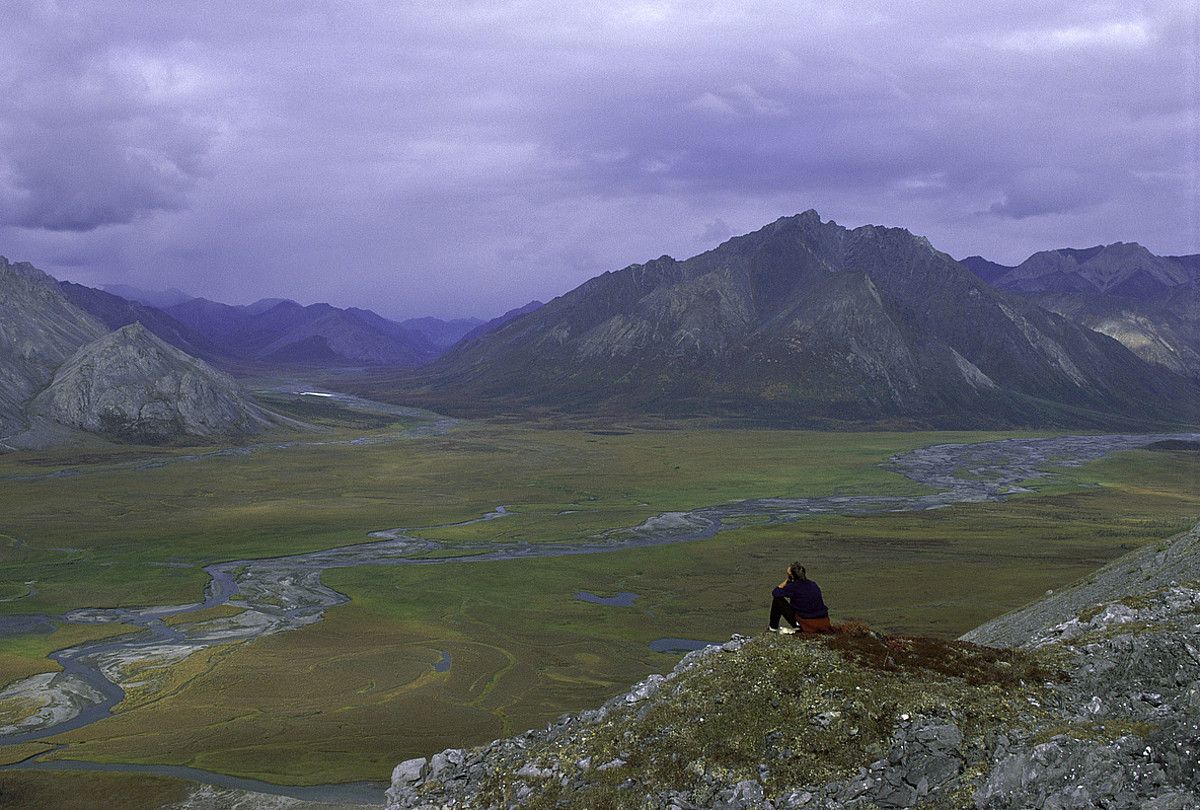 Artic National Wildlife Refuge babeslekua Alaska iparraldean dago. U.S. FISH & WILDLIFE SERVICE.