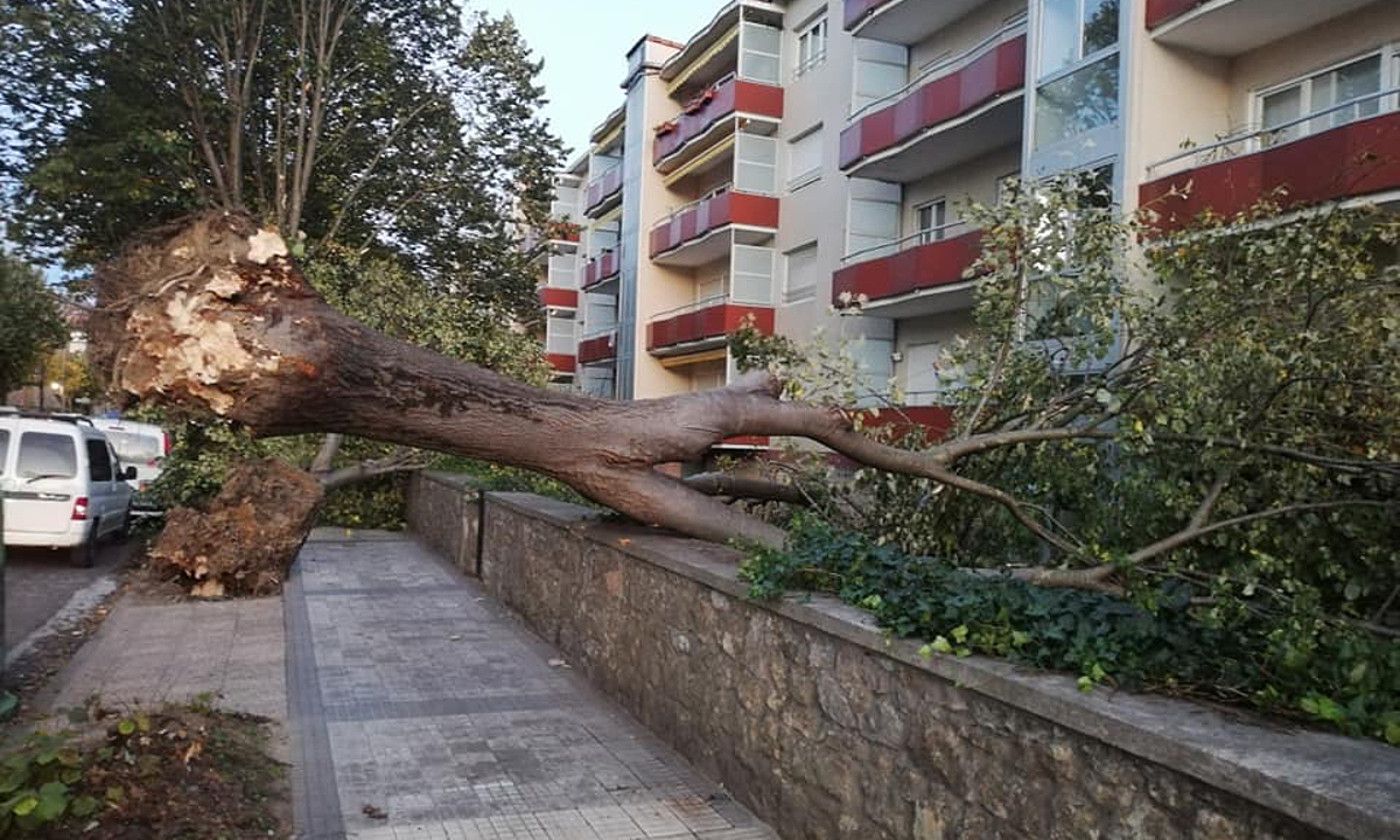 Suhiltzaileak. Ehun irteera eta gehiago izan ziren Nafarroan; irudian, Iruñeko igogailu bat, kalteekin. FORUZAINGOA.