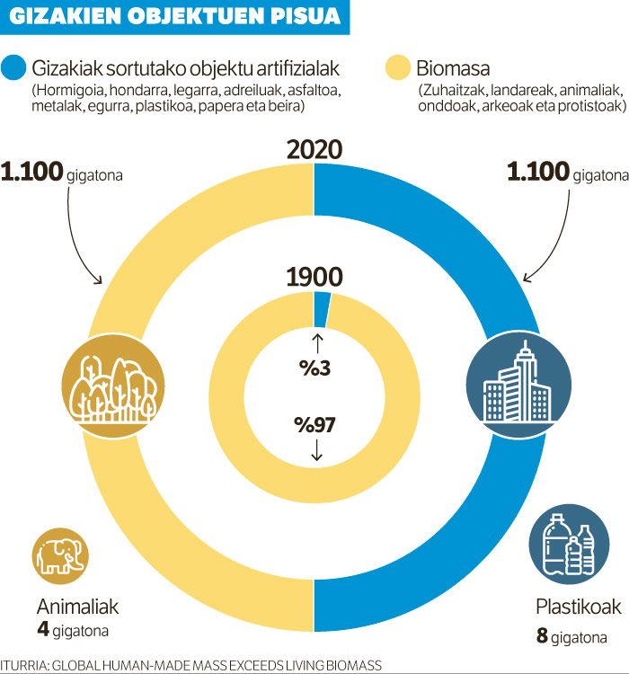 Gizakien objektuek gehiago pisatzen dute jadanik Lurreko biomasak baino.