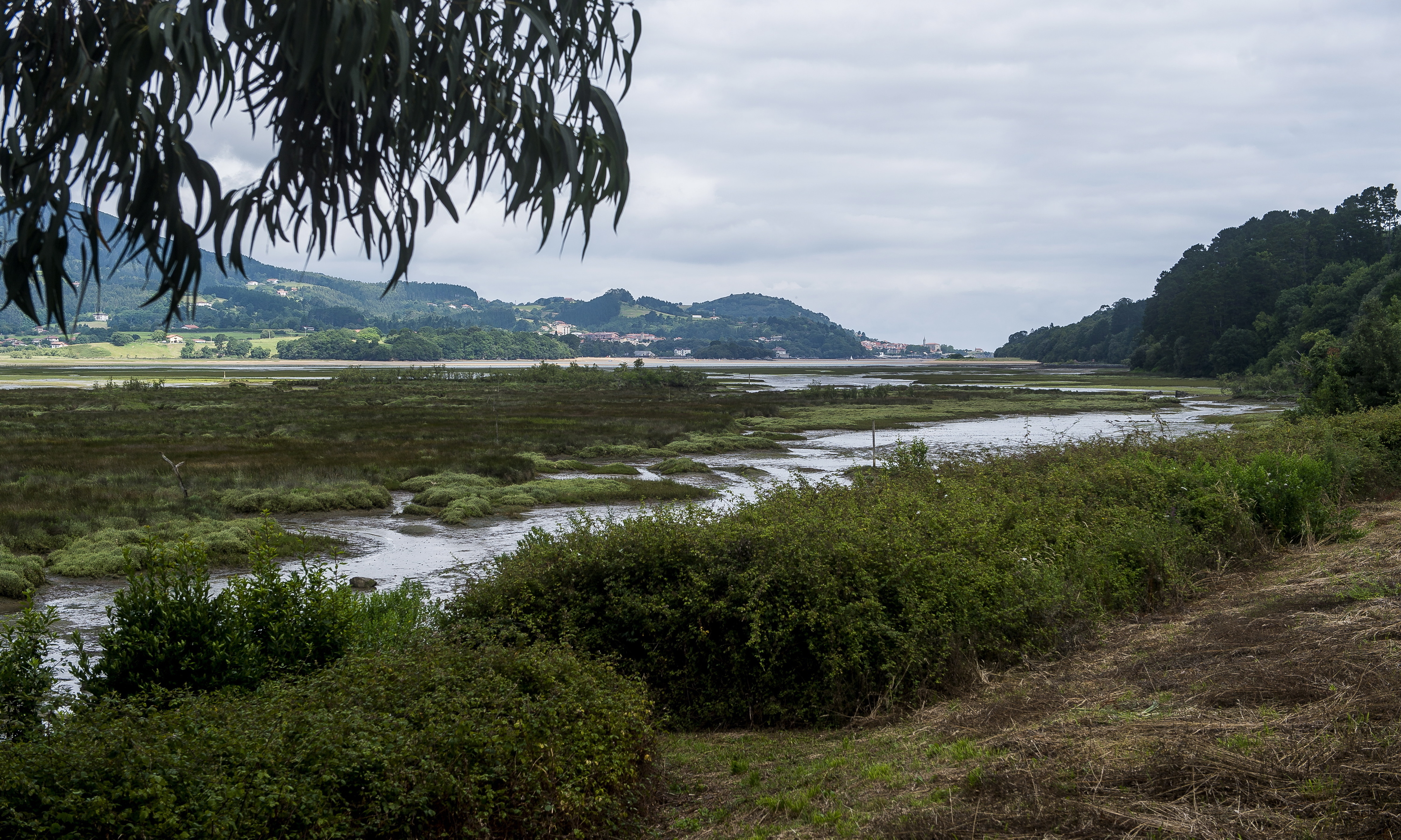 Urdaibai Biosfera Erreserba, artxiboko irudi batean. BERRIA