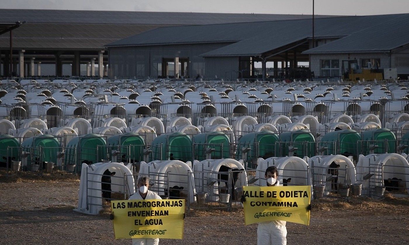 Greanpreacek Caparrosoko etxaldean egindako protesta bat. GREENPEACE.