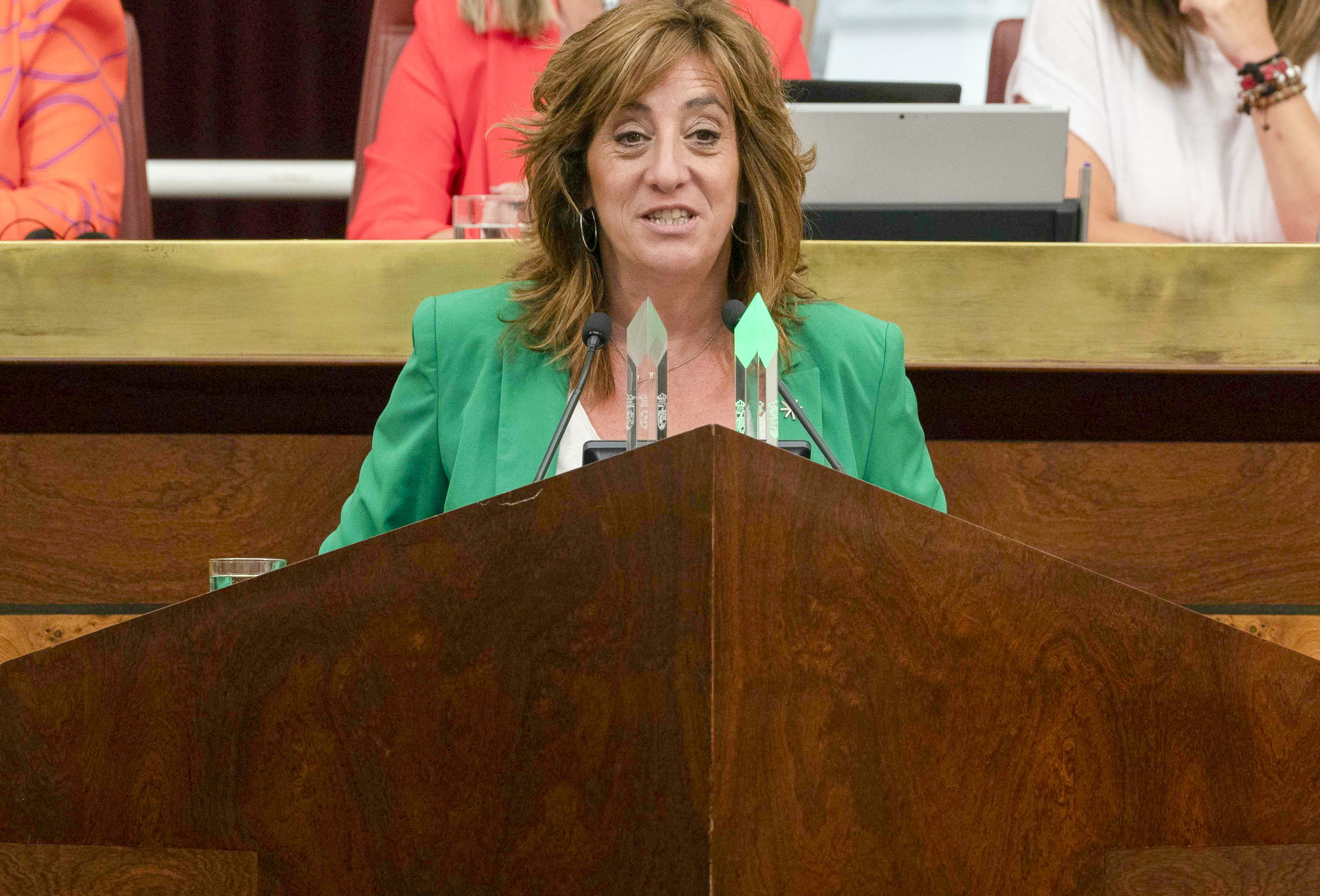 Eva Lopez de Arroiabe Arabako Batzar Nagusietan, agerraldi batean. JAIZKI FONTANEDA / FOKU