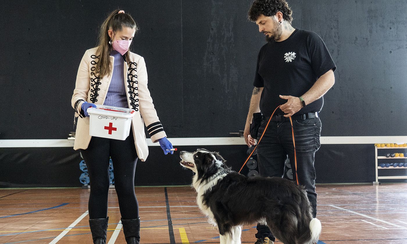 Ainhoa Isla, Iosu Mendez eta Ur txakurra, ikerketaren proban, atzo, EHUko Bizkaiko campuseko kiroldegian. MARISOL RAMIREZ/FOKU.