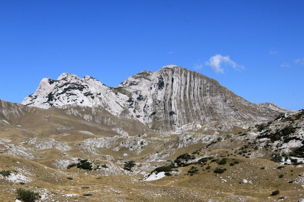 (ID_14514574) (/EZEZAGUNA) 4.durmitor-prutas (ID_14514574) (/EZEZAGUNA) 4.durmitor-prutas