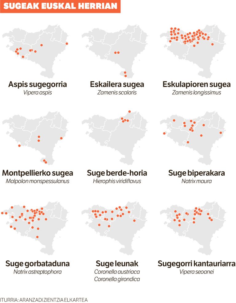 Sugebizik 334 ekarpen jaso ditu.