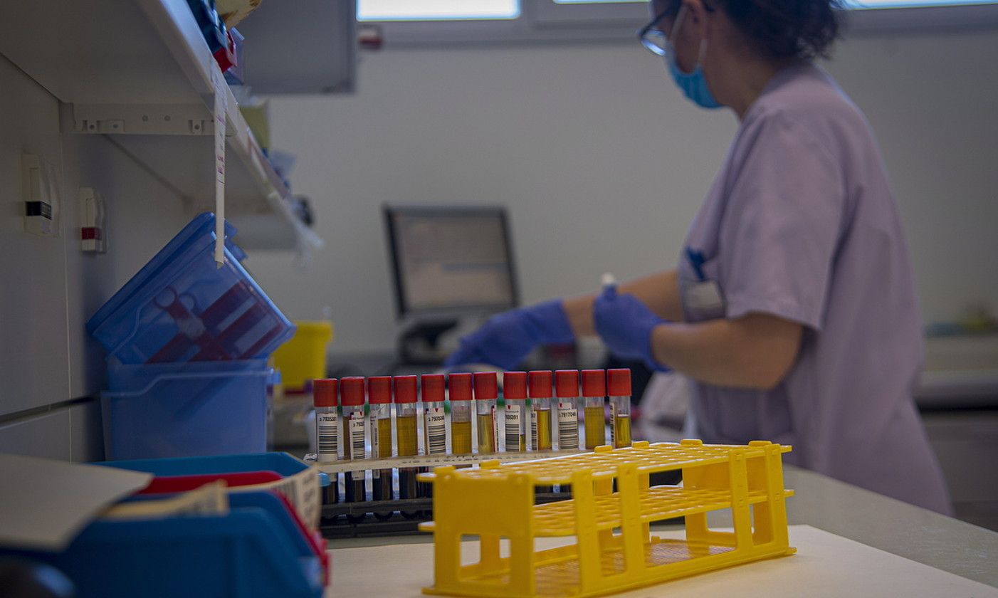 PCR probak, Gasteizko Txagorritxu ospitaleko laborategi batean. G.RUBIO / FOKU. PCR probak, Gasteizko Txagorritxu ospitaleko laborategi batean. G.RUBIO / FOKU.