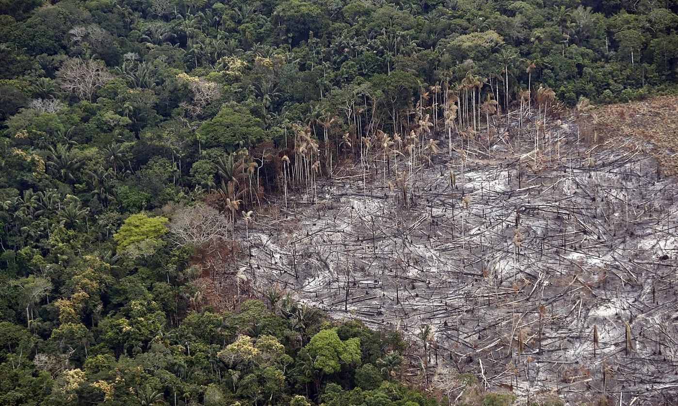 Deforestazioaren aztarna, Kolonbiako Amazoniako lur eremu batean. MAURICIO DUEÑAS CASTAÑEDA / EFE.