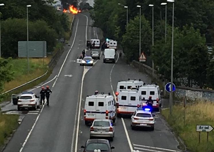 Errepidea moztuta, gaur goizean, Zornotzan (Bizkaia). LAB