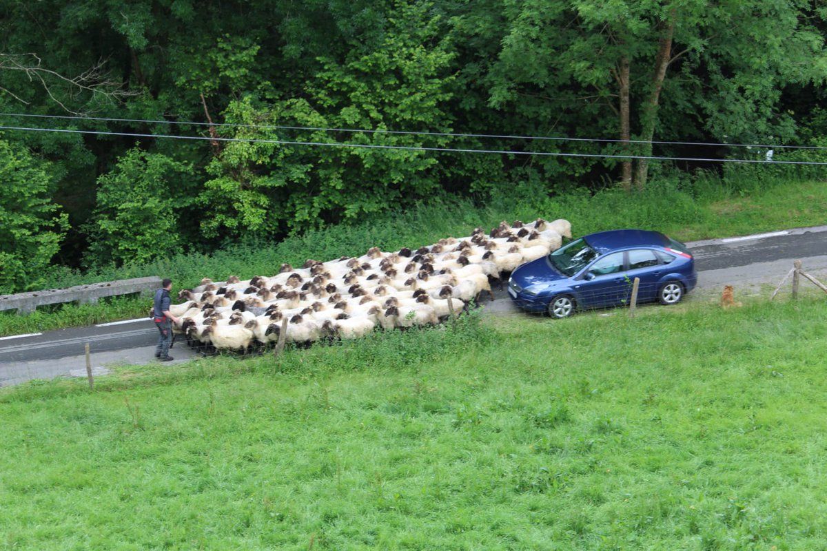 Martxoaren amaieran Aitor Esnaola aita ikustera ekarri zutenekoa. BERRIA