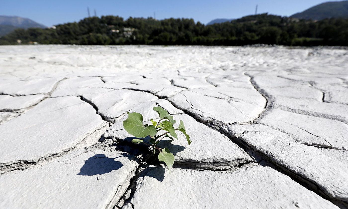 Var ibaiaren ibilgua guztiz lehortuta Carrosen, Frantzia hego-ekialdean, 2020ko abuztuan. SEBASTIEN NOGIER / EFE.