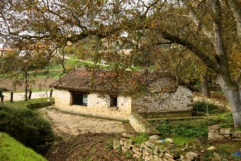 Quintanillako latsarri-edanleku-iturria Quintanillako latsarri-edanleku-iturria