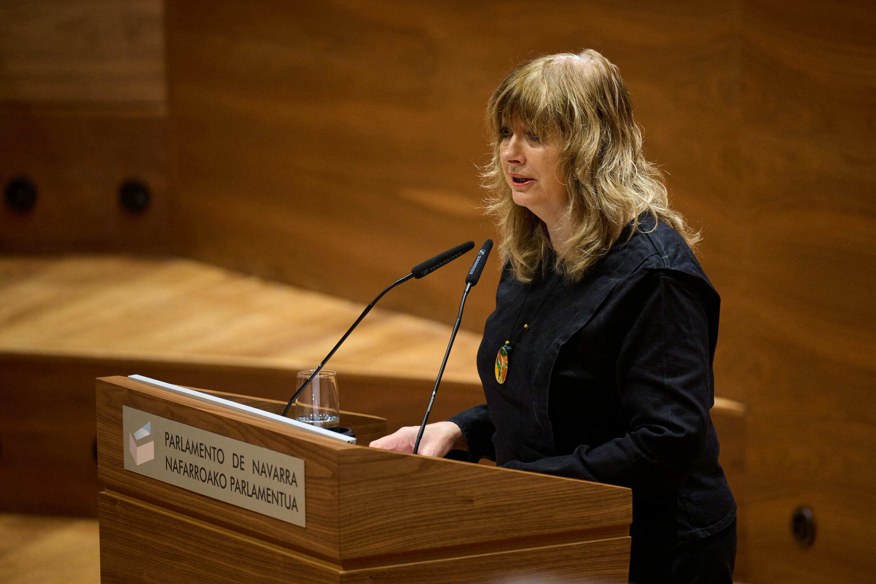 Ana Ollo Nafarroako Gobernuko Memoria kontseilaria, parlamentuan, artxiboko irudian. MIGUEL OSES