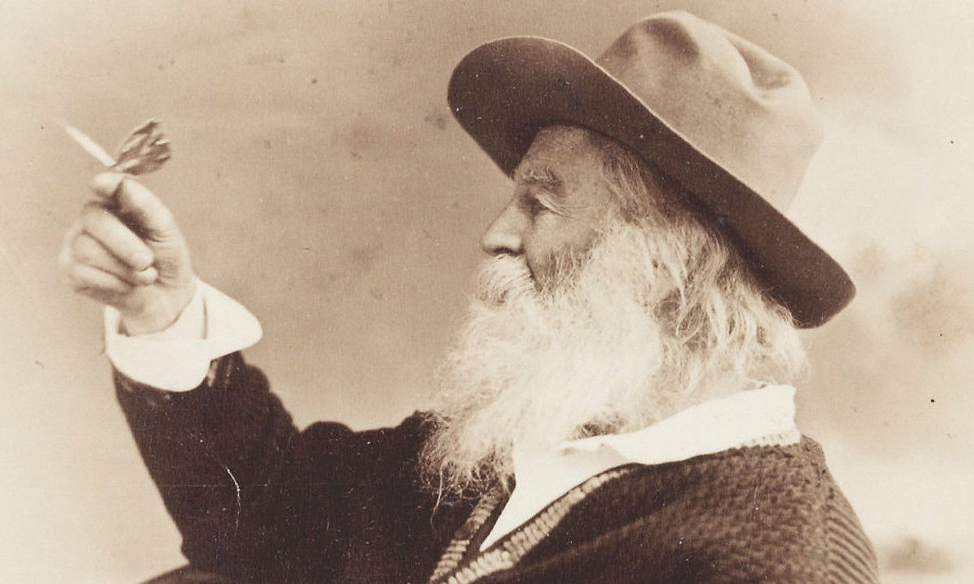 Walt Whitman poetaren testuak baliatu zituen Txomin Artolak 1978. urtean kaleratutako Belar hostoak diskoko abestiak sortzeko. LORALDIA.