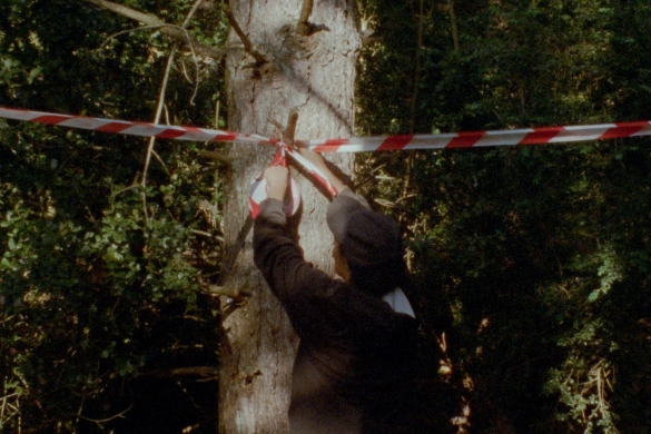 'Cambium' filmeko irudi bat. 'Cambium' filmeko irudi bat.