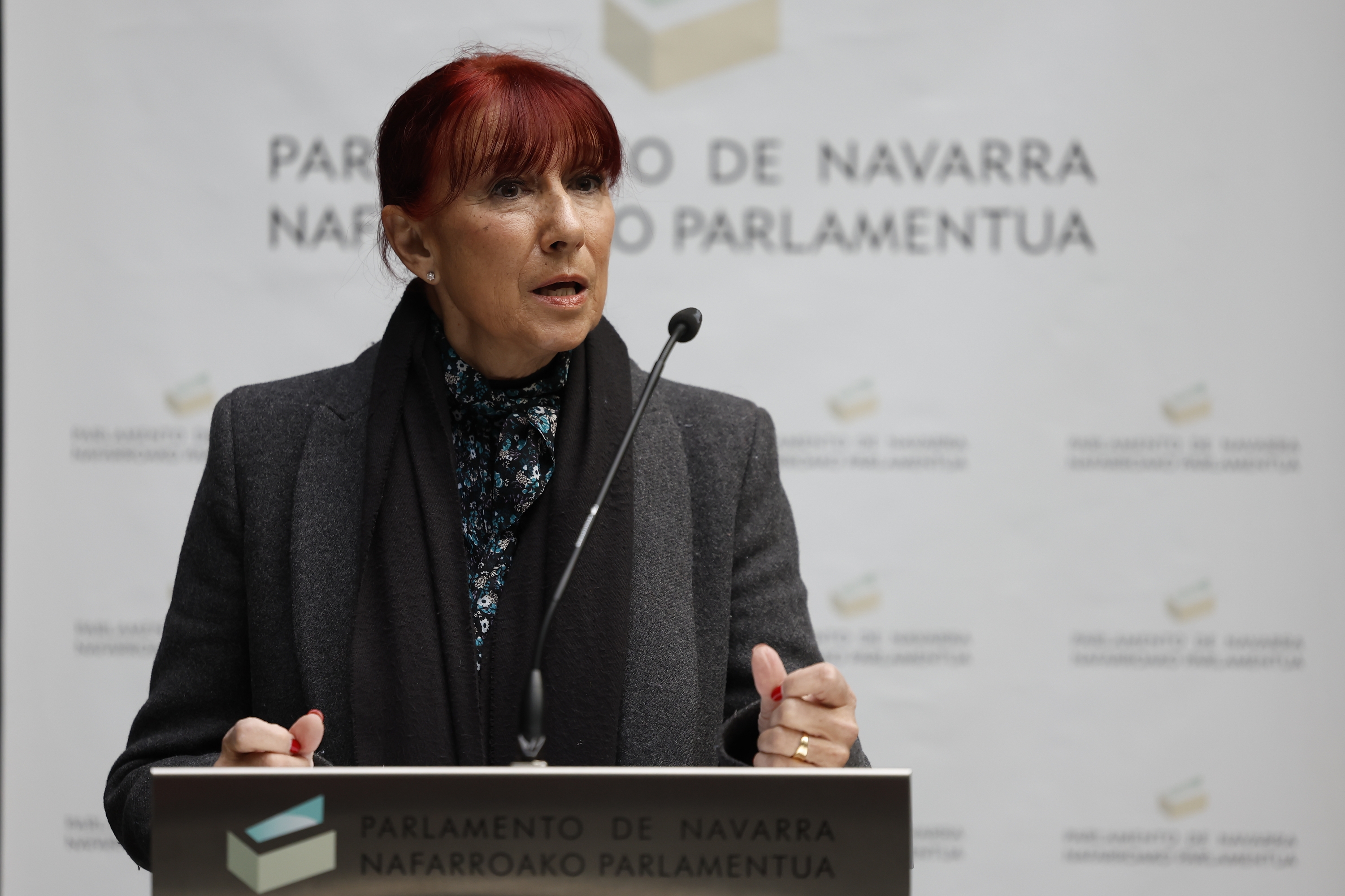 Maite Nosti, Vox-eko parlamentari ohia, gaur, legebiltzarrean azalpenak ematen komunikabideen aurrean. JESUS DIGES / EFE