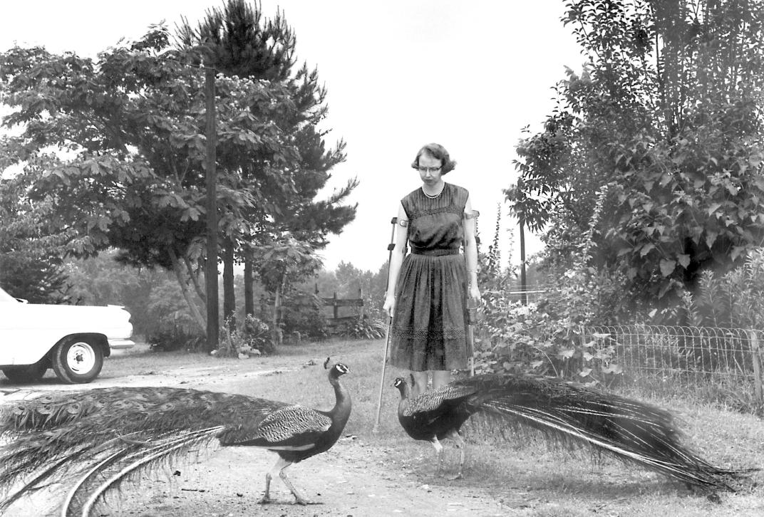 Flannery O'Connor idazlearen argazki bat Andalusia landetxean.