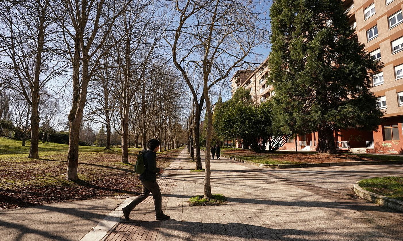 Herritar bat, Gasteizko Arriaga parkean. Barruko eraztun berdearen parte da eremu hori. ENDIKA PORTILLO / FOKU.