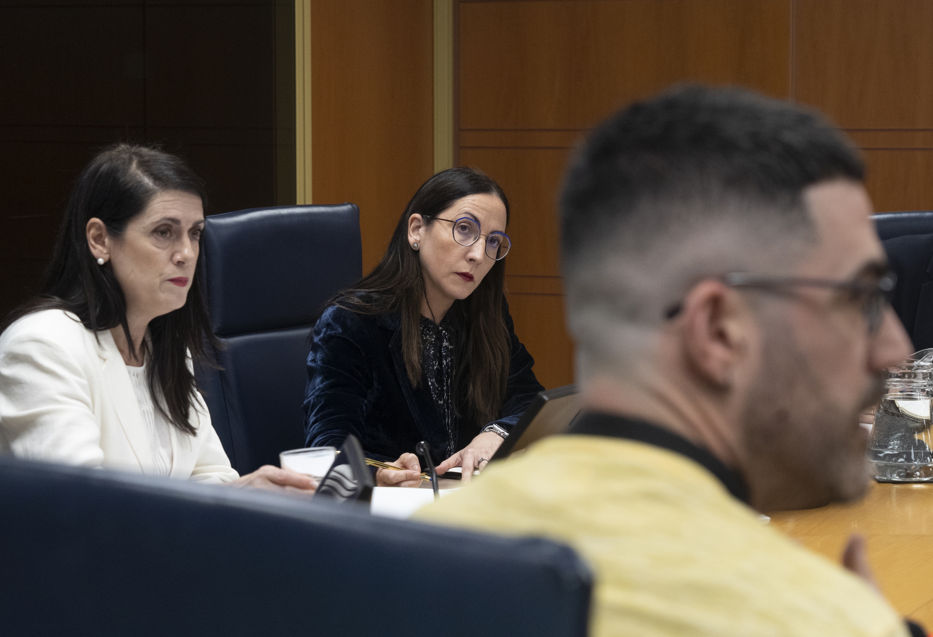 Begoña Pedrosa Eusko Legebiltzarreko Hezkuntza Batzordean, gaur. RAUL BOGAJO / FOKU