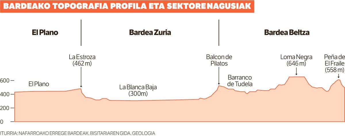 Liburu bat zabal-zabalik.