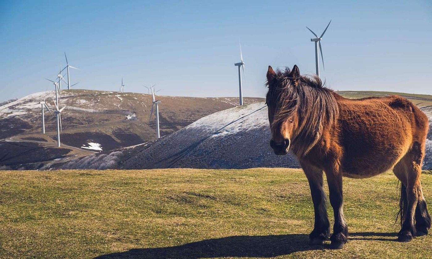 Elgea-Urkillako parke eolikoa. DAVID DE LA IGLESIA VILLAR.