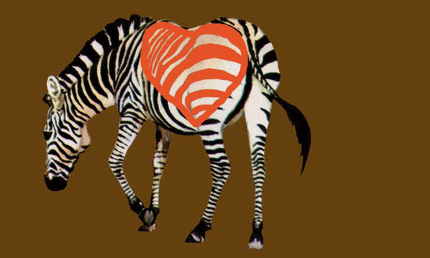 'ZEBRA'.