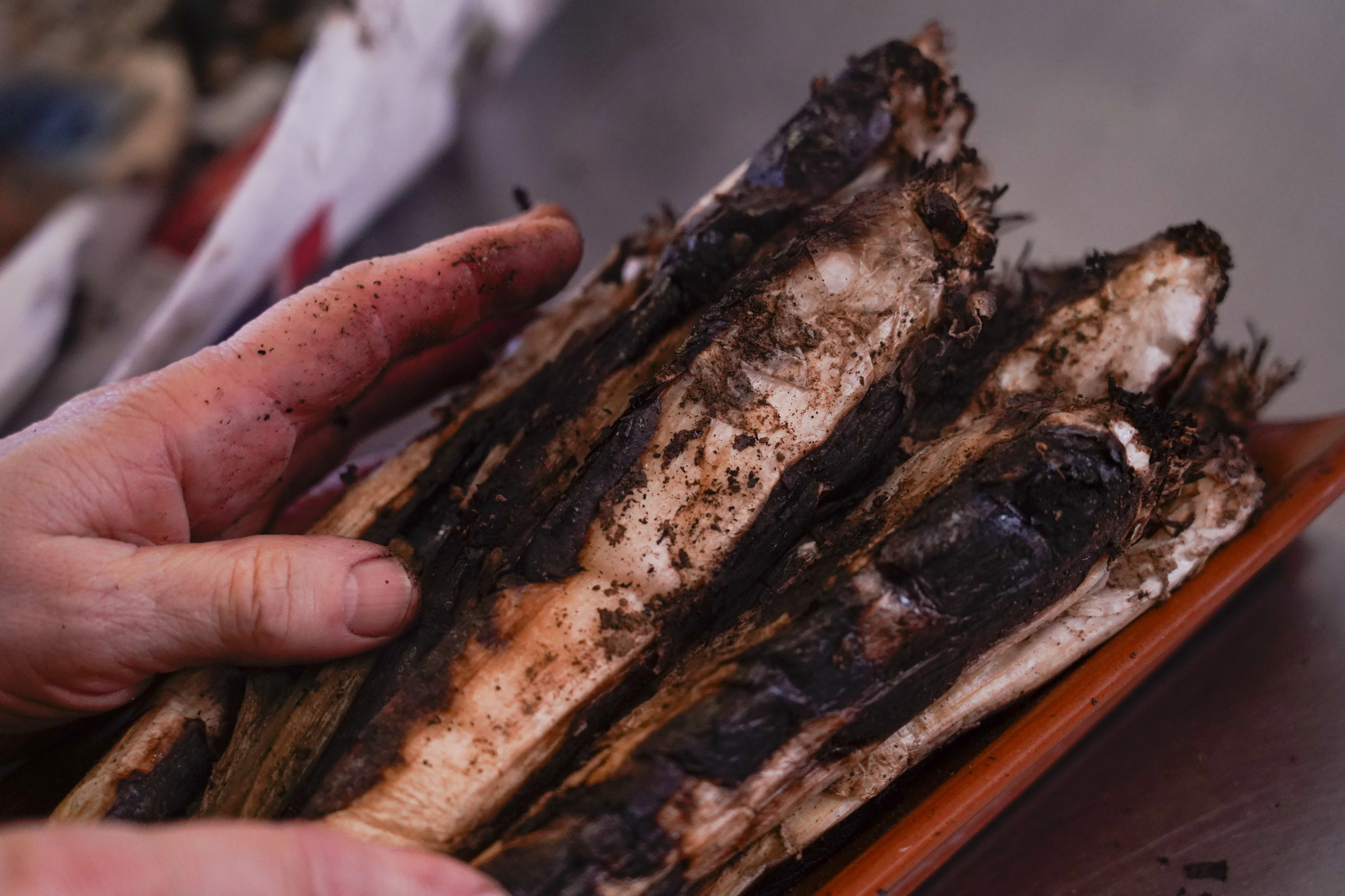 'Calçot' erreak Donostiako All i Oli jatetxean, iazko urtarrilean. GORKA RUBIO / FOKU