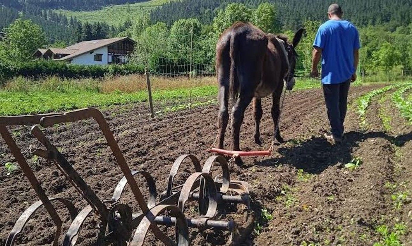 Biezko baserriko kideak lurrarekin lanean. ANER GARITAONANDIA.