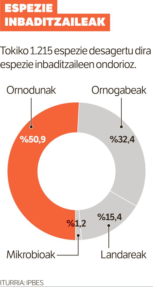 Sustrai arrotzak errotuta.