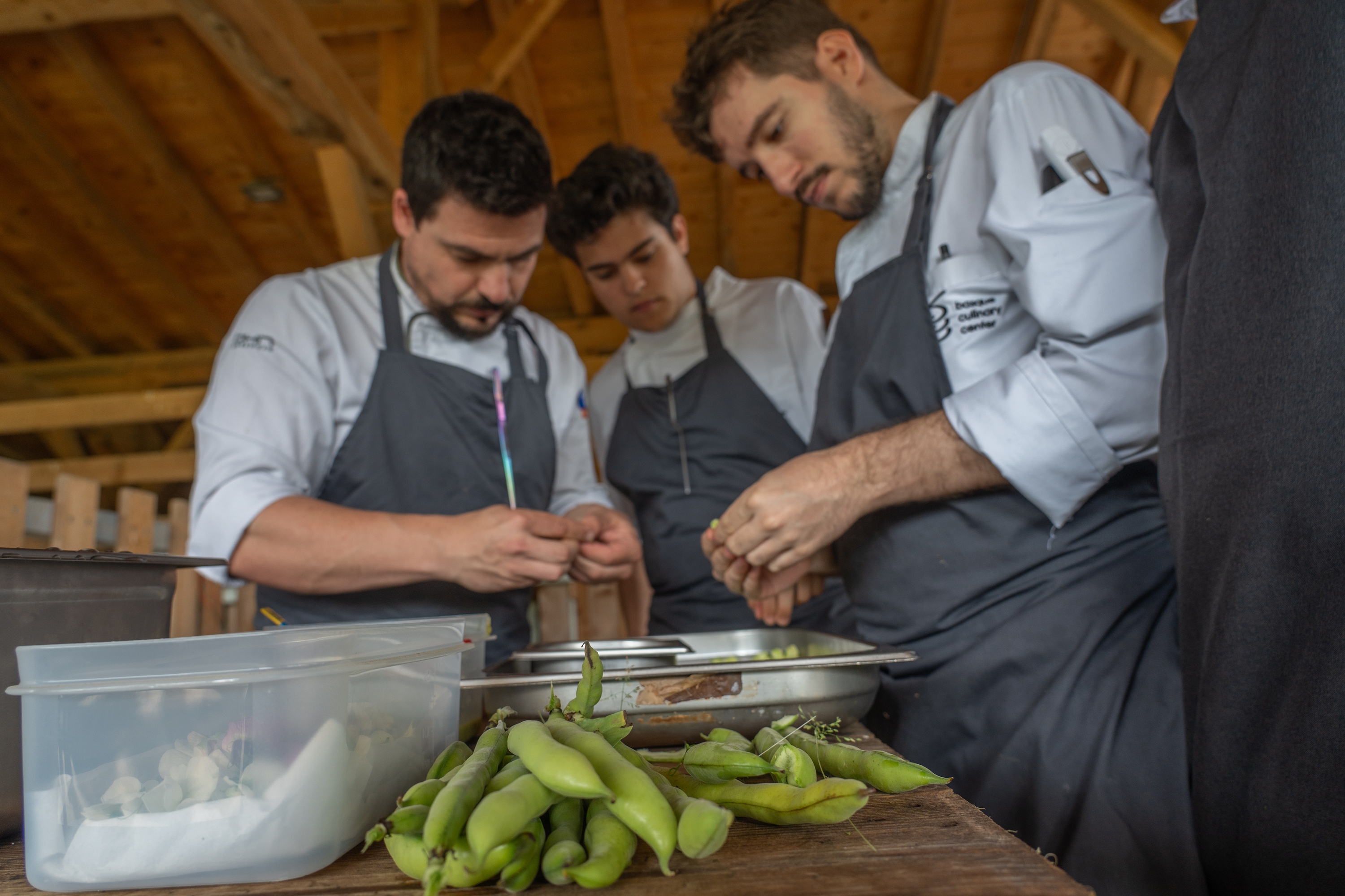 Basque Culinary Centerreko ikasleak, euren baratzeko babak aletzen, aste honetan, Donostian. ANDONI CANELLADA / FOKU