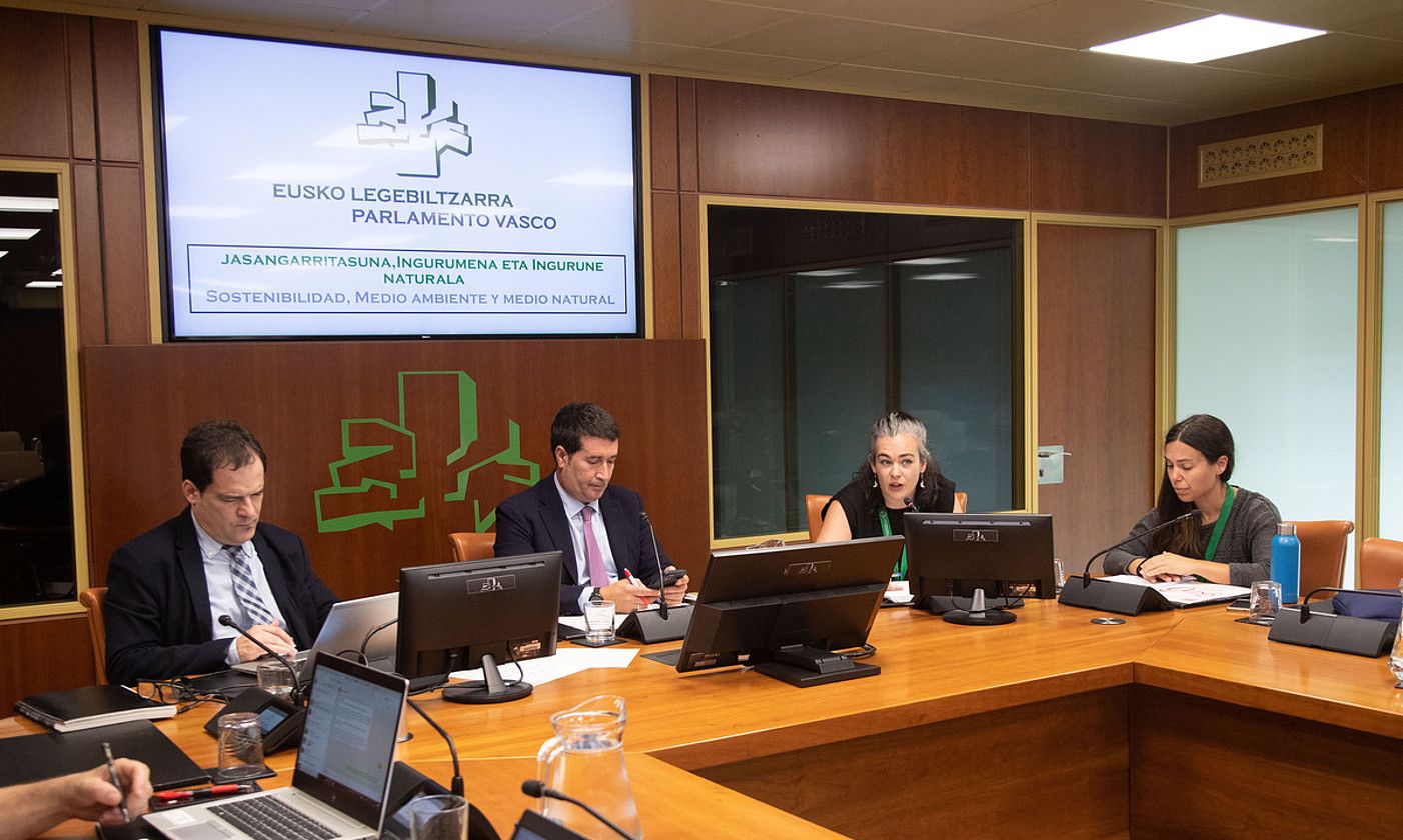 Jauzi Ekosoziala taldeko Alaitz Ajuriagerra, atzo, Eusko Legebiltzarrean hitza hartzean. JOSU CHAVARRI / EUSKO LEGEBILTZARRA. Jauzi Ekosoziala taldeko Alaitz Ajuriagerra, atzo, Eusko Legebiltzarrean hitza hartzean. JOSU CHAVARRI / EUSKO LEGEBILTZARRA.