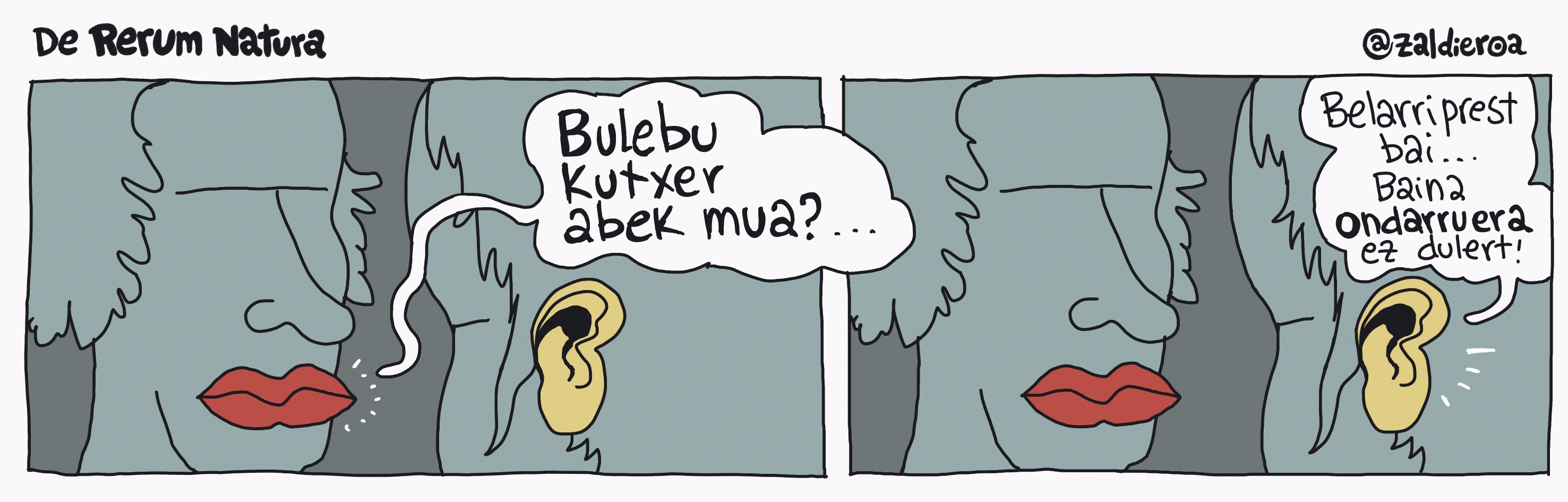 Zaldieroa