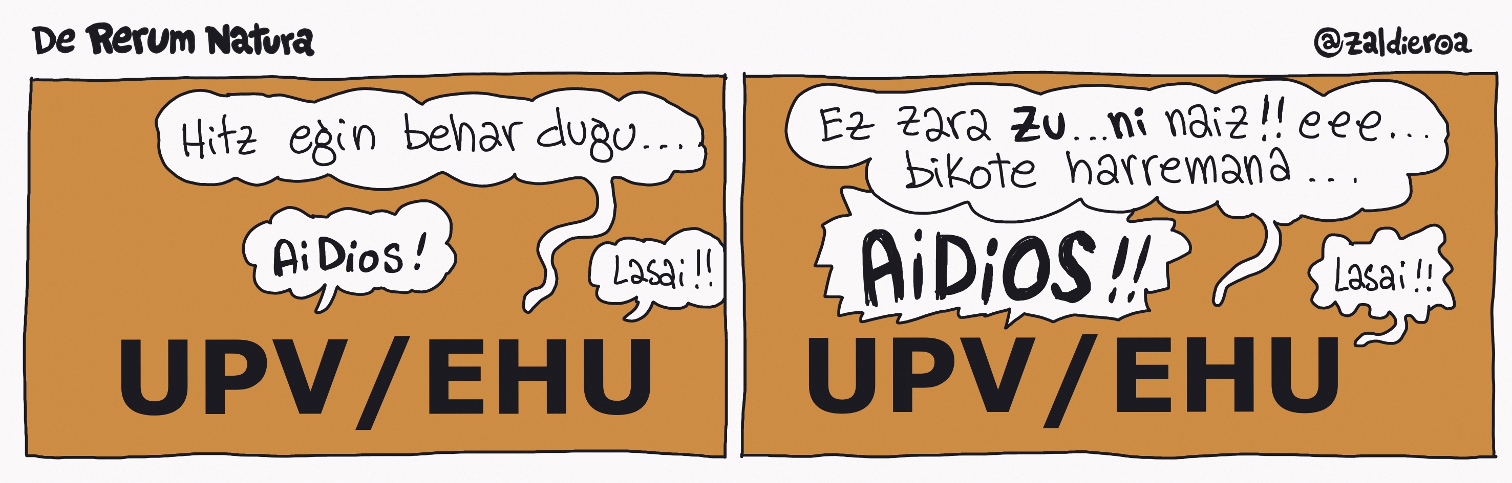 Zaldieroa