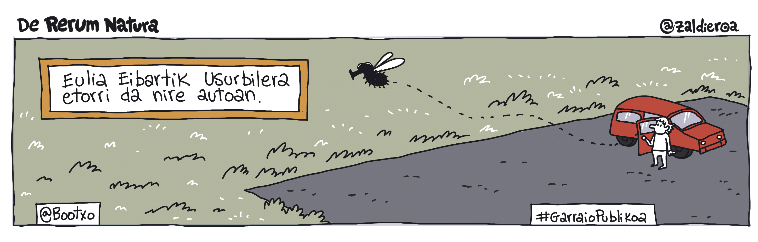 Zaldieroa