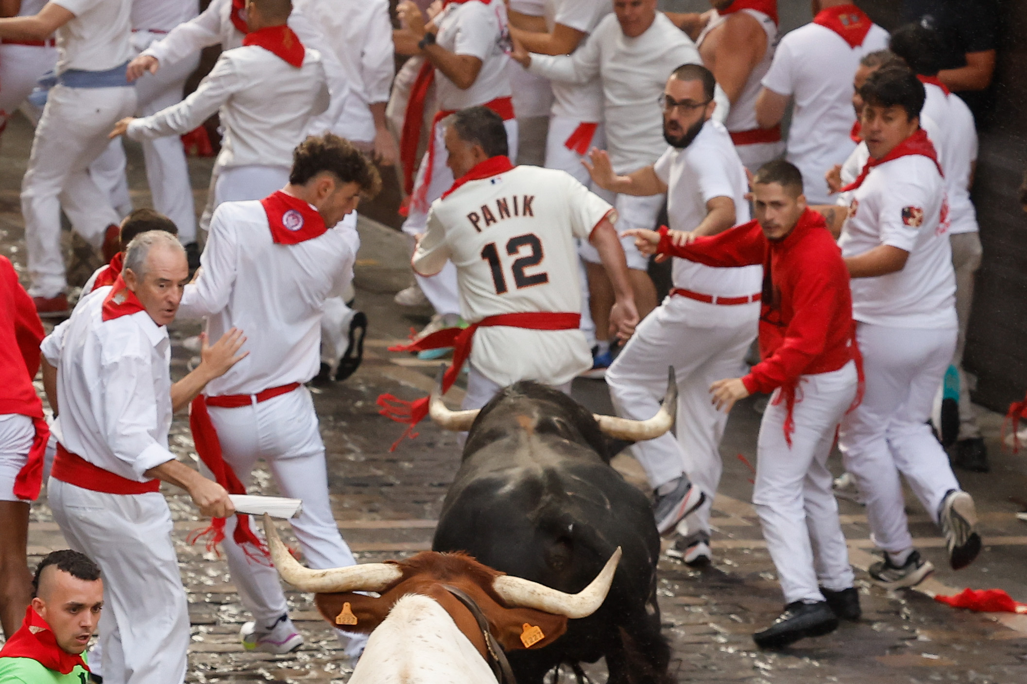 (ID_15122413) ESPAÑA SANFERMINES ENCIERRO