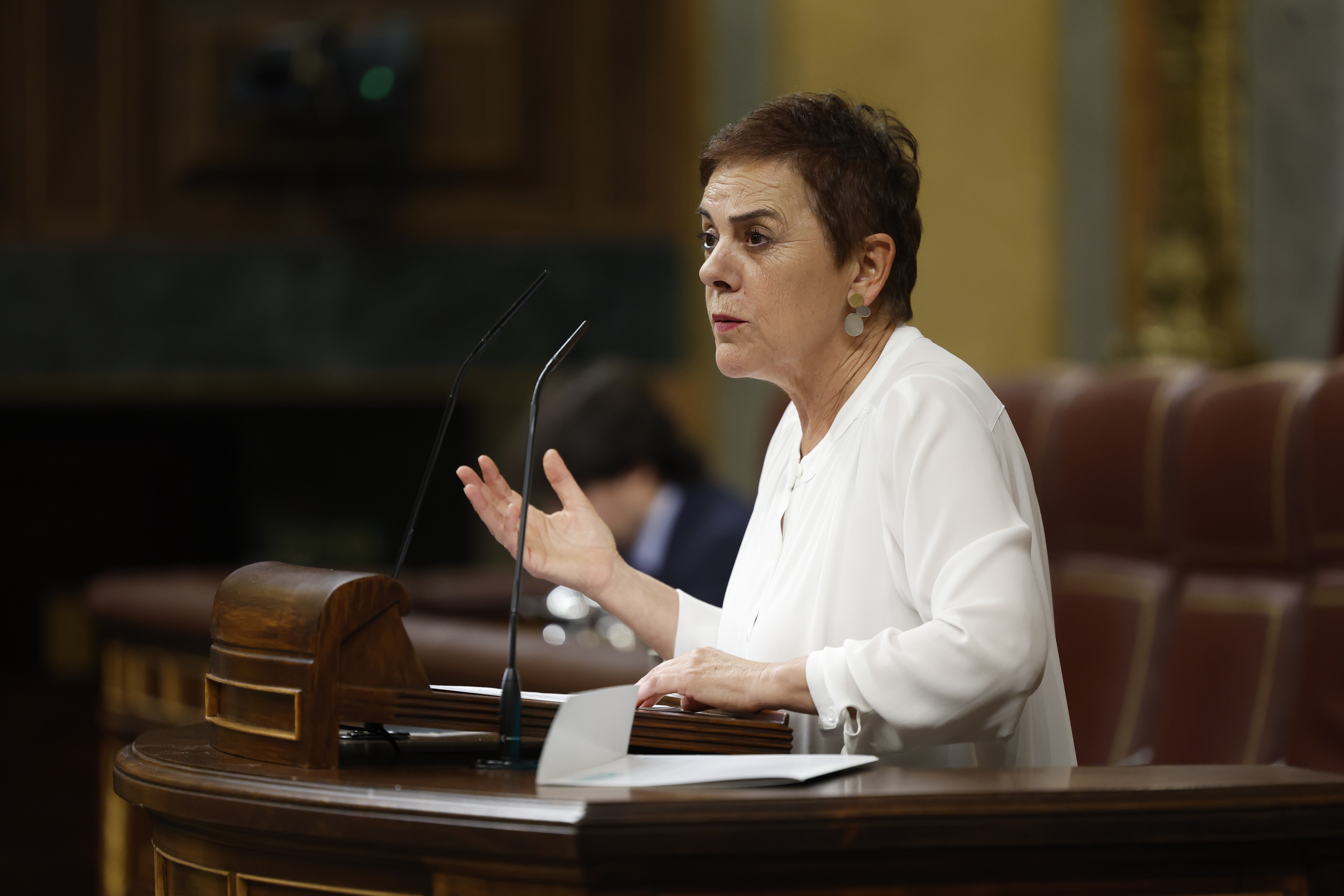 Aizpurua, atzo, Espainiako Kongresuan. JAVIER LIZON / EFE