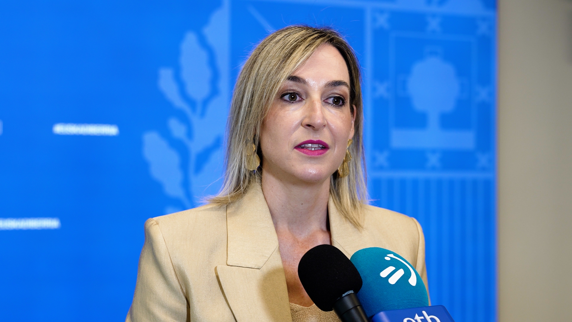 Maria Ubarretxena, Eusko Jaurlaritzako bozeramailea, atzo. IREKIA