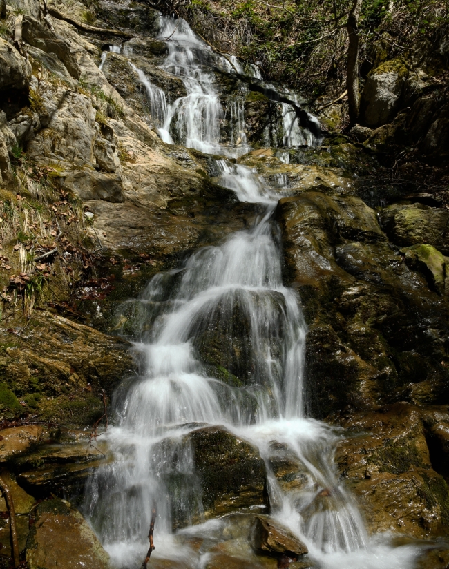 (ID_17527439468475) GARTXOT (ID_17527439468475) GARTXOT