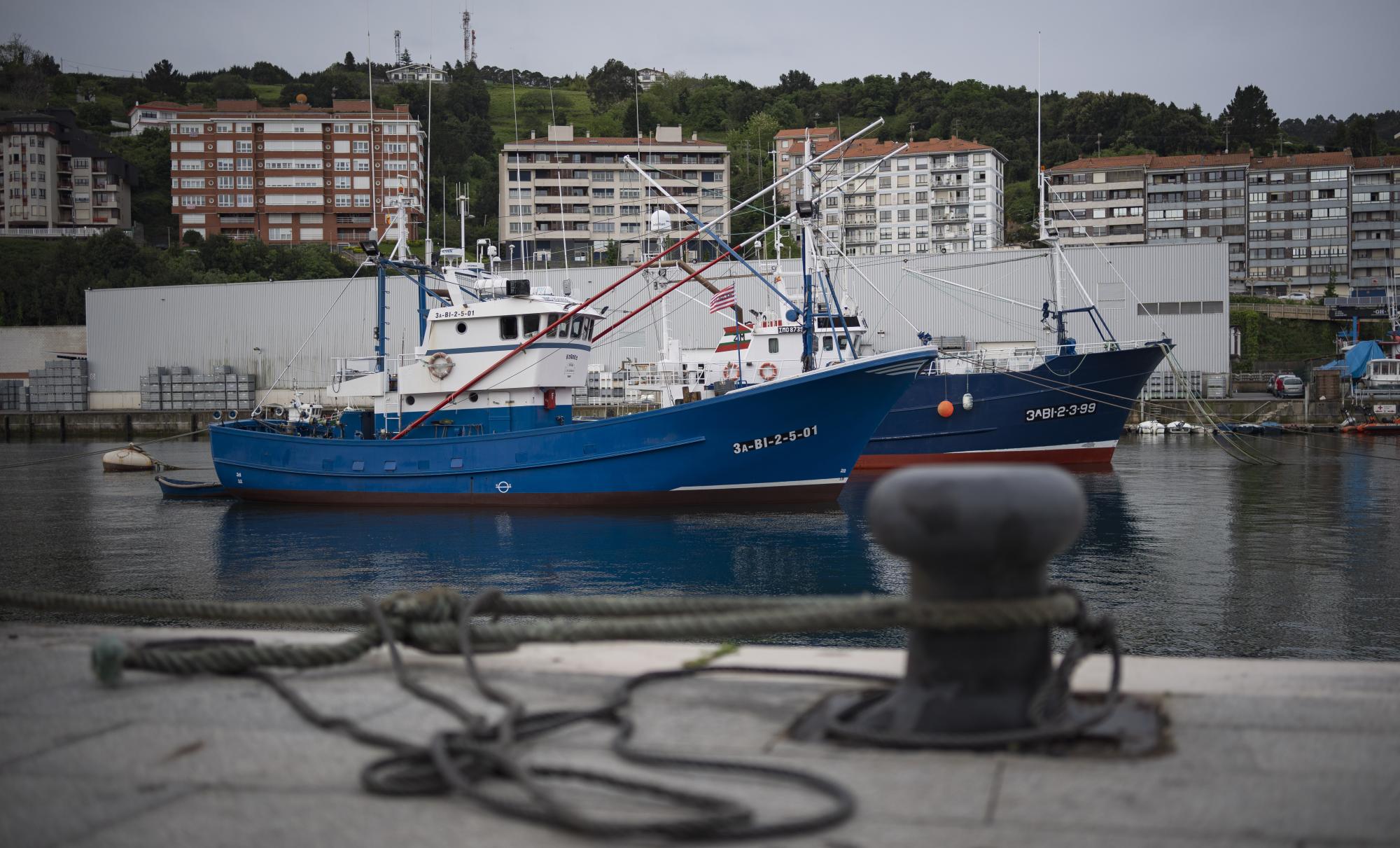 Bermeoko portua, maiatzaren 2ko irudi batean. ARITZ LOIOLA / FOKU