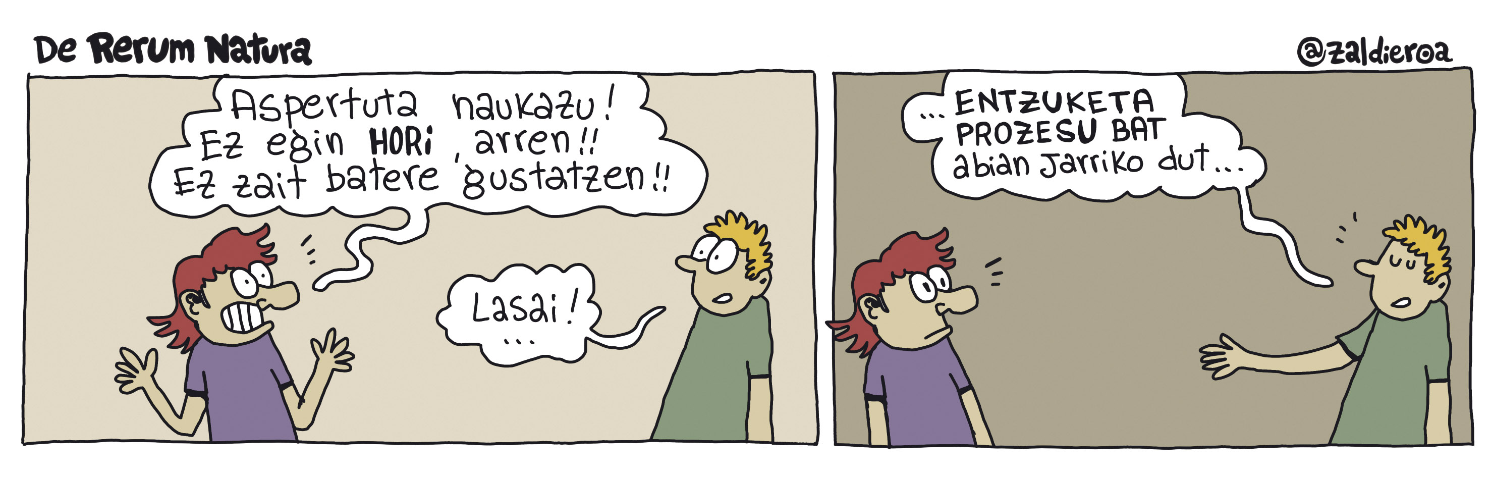 Zaldieroa