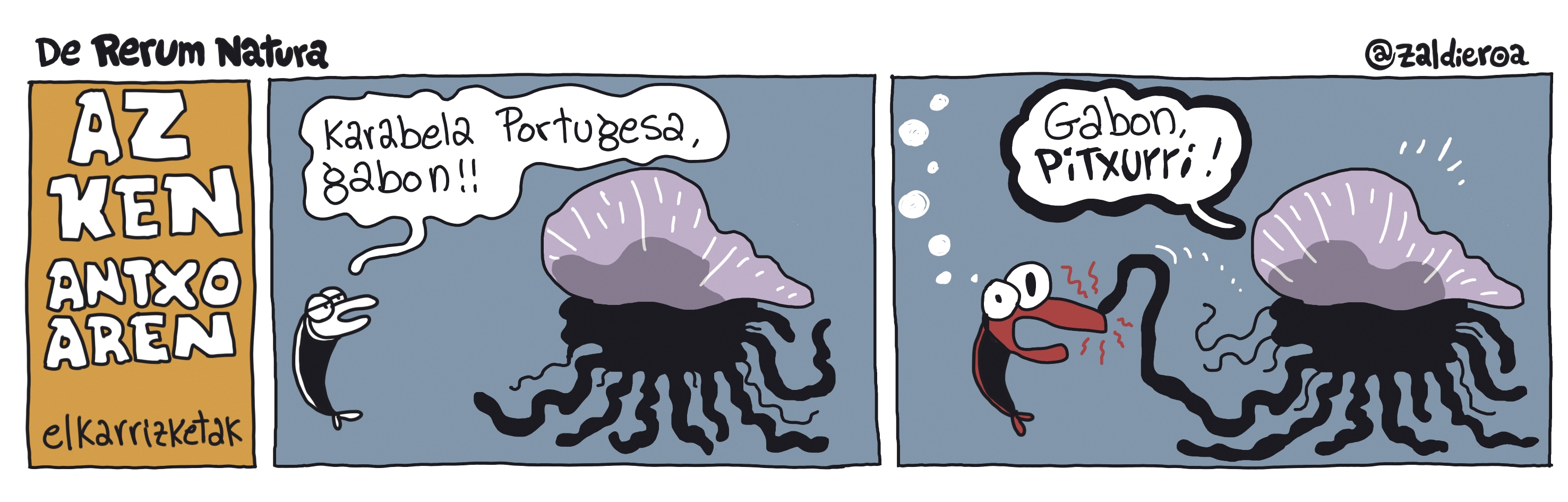 Zaldieroa